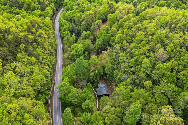 83 Snowy Cove Ln, Black Mountain, NC 28711 - drone / aerial view