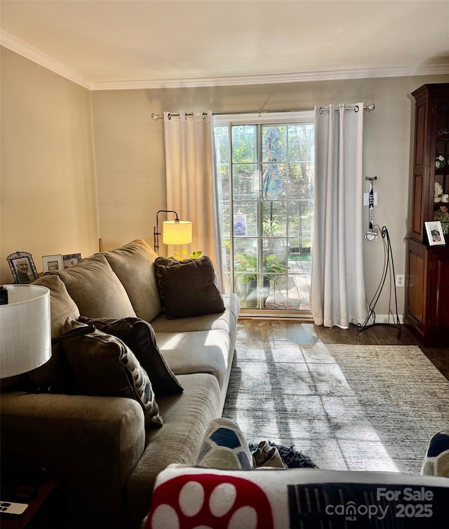 303 Heritage Pkwy, Fort Mill, SC 29715 - living area with wood finished floors and ornamental molding