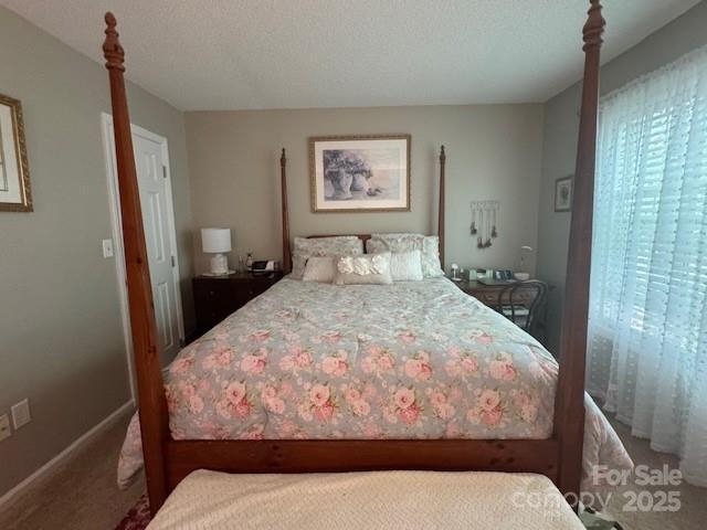 303 Heritage Pkwy, Fort Mill, SC 29715 - bedroom featuring carpet and baseboards
