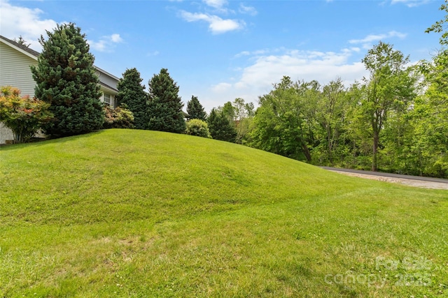 17 Gun Flint Dr, Burnsville, NC 28714 - view of grassy yard