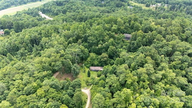 219 Sandalwood Dr, Whittier, NC 28789 - photo 10