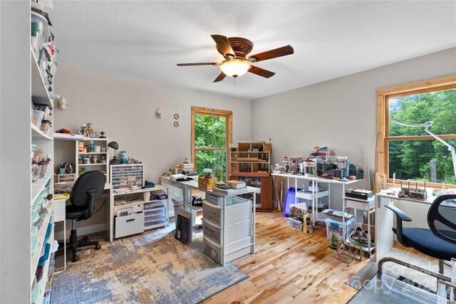 219 Sandalwood Dr, Whittier, NC 28789 - photo 28