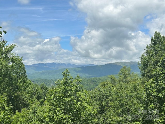 219 Sandalwood Dr, Whittier, NC 28789 - photo 8