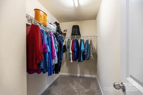 159 Saye Pl, Mooresville, NC 28115 - walk in closet featuring carpet floors