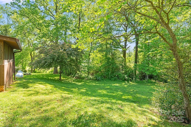 3127 Butler Bridge Rd, Mills River, NC 28759 - view of green lawn