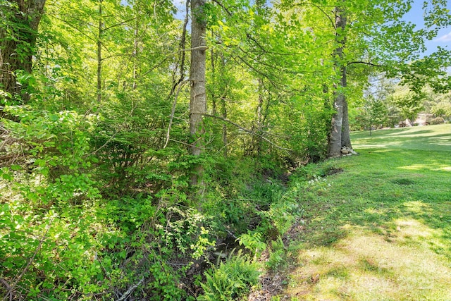 3127 Butler Bridge Rd, Mills River, NC 28759 - view of nature