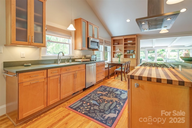47 Lakeview Rd, Asheville, NC 28804 - kitchen with appliances with stainless steel finishes, wooden counters, a sink, light wood finished floors, and island range hood