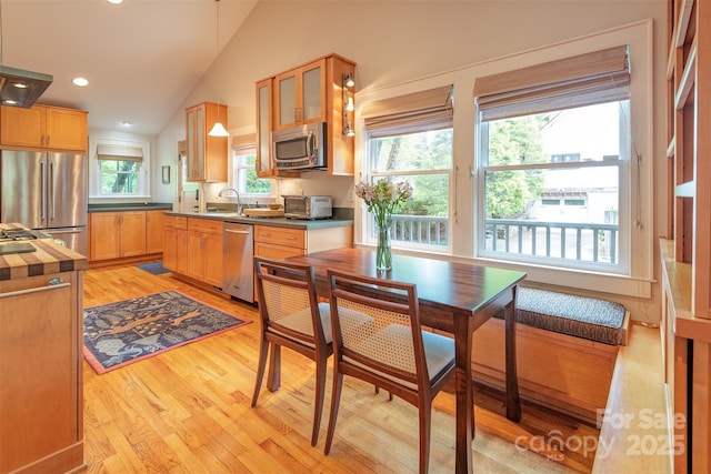 47 Lakeview Rd, Asheville, NC 28804 - kitchen featuring stainless steel appliances, light wood-style floors, vaulted ceiling, dark countertops, and recessed lighting