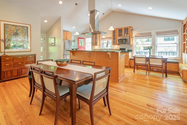 47 Lakeview Rd, Asheville, NC 28804 - dining space with lofted ceiling, light wood-type flooring, and recessed lighting