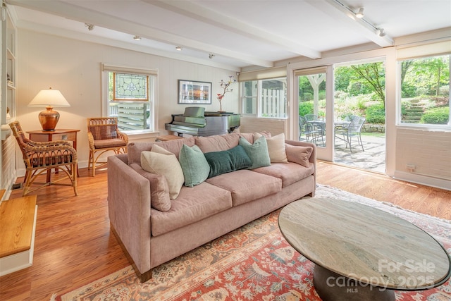 47 Lakeview Rd, Asheville, NC 28804 - living room featuring track lighting, light wood-style flooring, beam ceiling, and healthy amount of natural light