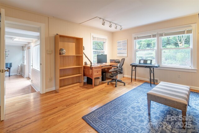 47 Lakeview Rd, Asheville, NC 28804 - office space featuring track lighting, light wood-style flooring, and baseboards