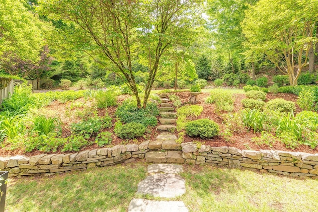 47 Lakeview Rd, Asheville, NC 28804 - view of yard