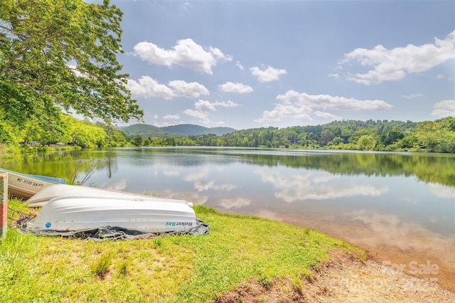 47 Lakeview Rd, Asheville, NC 28804 - water view with a heavily wooded area