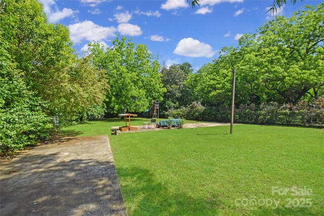 1101 Pee Dee Ave, Albemarle, NC 28001 - view of green lawn