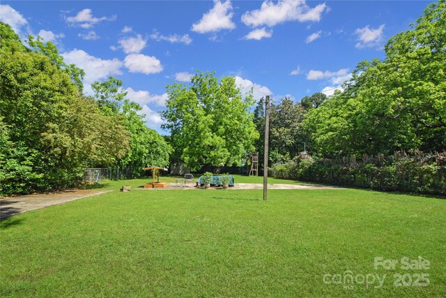 1101 Pee Dee Ave, Albemarle, NC 28001 - view of yard