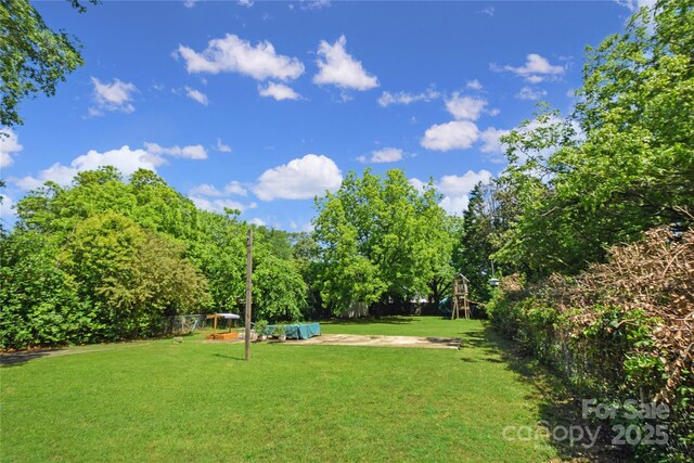 1101 Pee Dee Ave, Albemarle, NC 28001 - view of green lawn