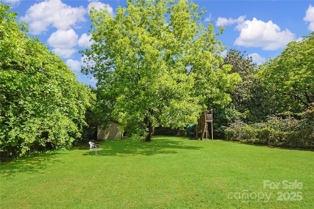 1101 Pee Dee Ave, Albemarle, NC 28001 - view of green lawn