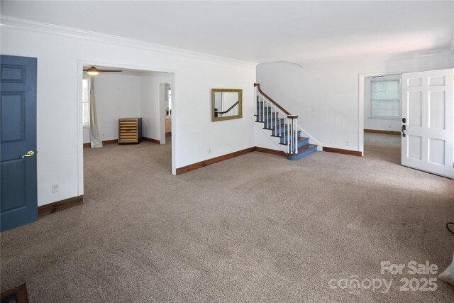 1101 Pee Dee Ave, Albemarle, NC 28001 - unfurnished living room with ornamental molding, carpet flooring, baseboards, and stairs