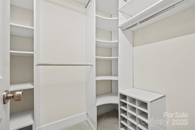 7103 Forest Ridge Rd, Matthews, NC 28104 - view of walk in closet