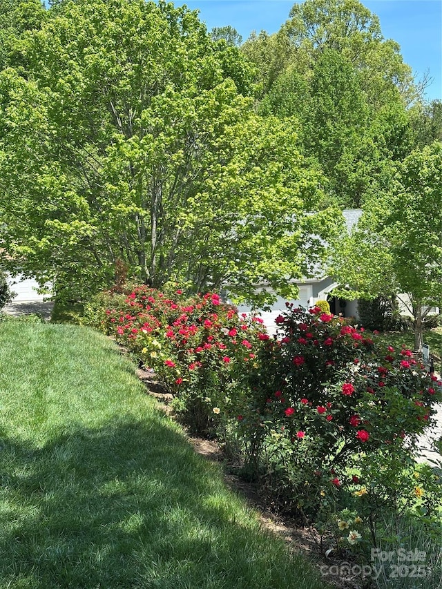 32 Stonebridge Dr, Asheville, NC 28805 - photo 29