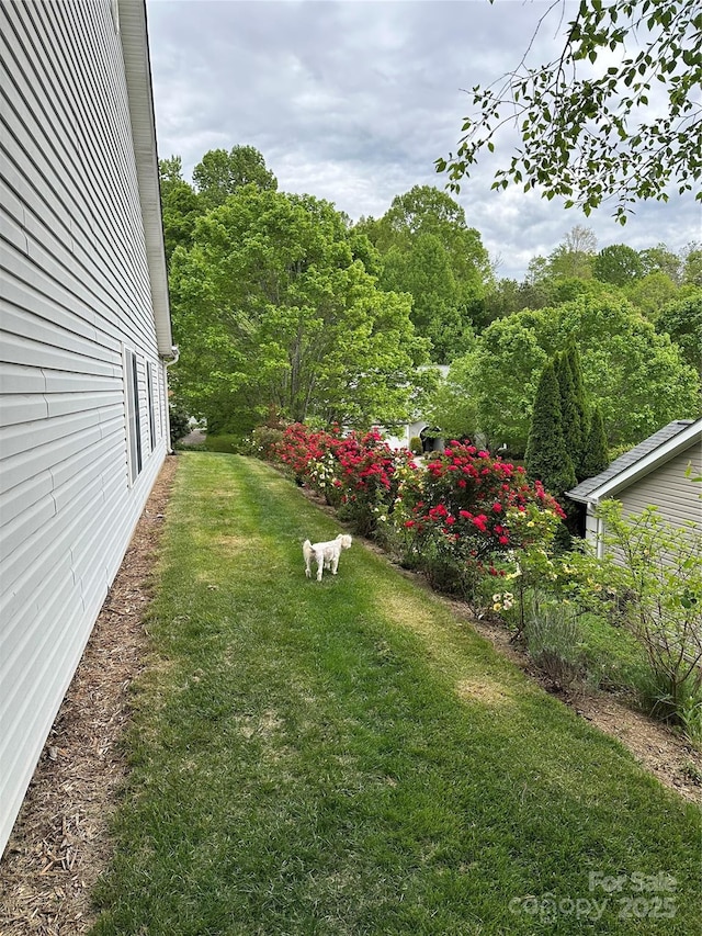 32 Stonebridge Dr, Asheville, NC 28805 - photo 34