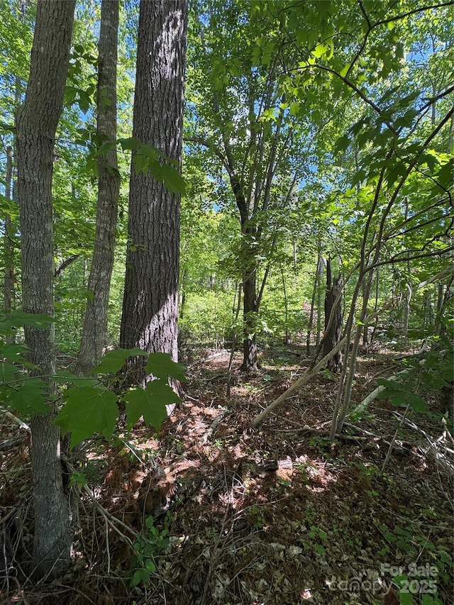 0 Creekwood Dr, Morganton, NC 28655 - photo 1