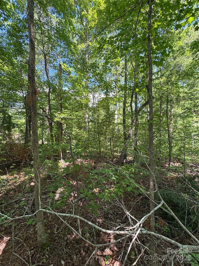 0 Creekwood Dr, Morganton, NC 28655 - photo 2