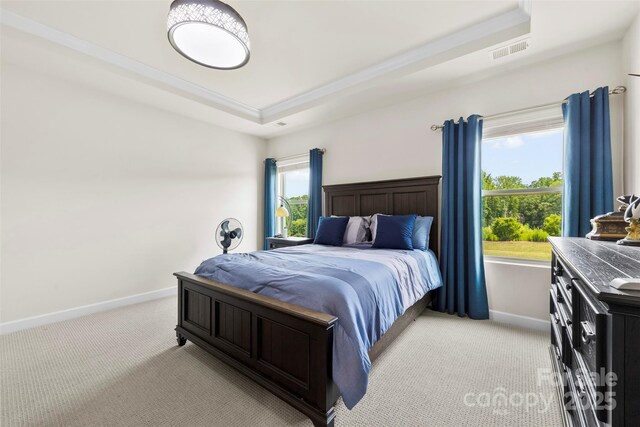 5727 Lavaux Ct, Charlotte, NC 28214 - bedroom featuring a raised ceiling, light colored carpet, and baseboards