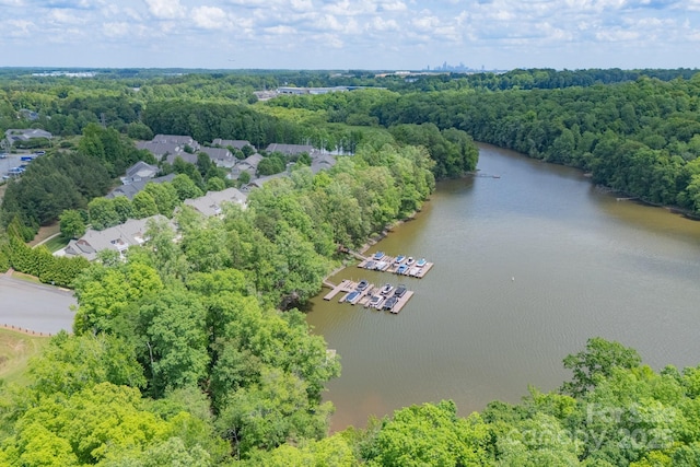 5727 Lavaux Ct, Charlotte, NC 28214 - aerial view of a large body of water