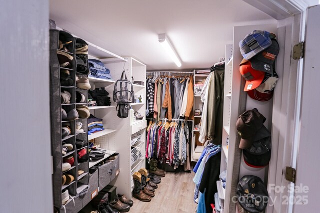 walk in closet featuring wood finished floors