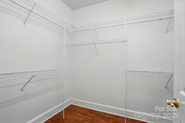 spacious closet featuring wood finished floors