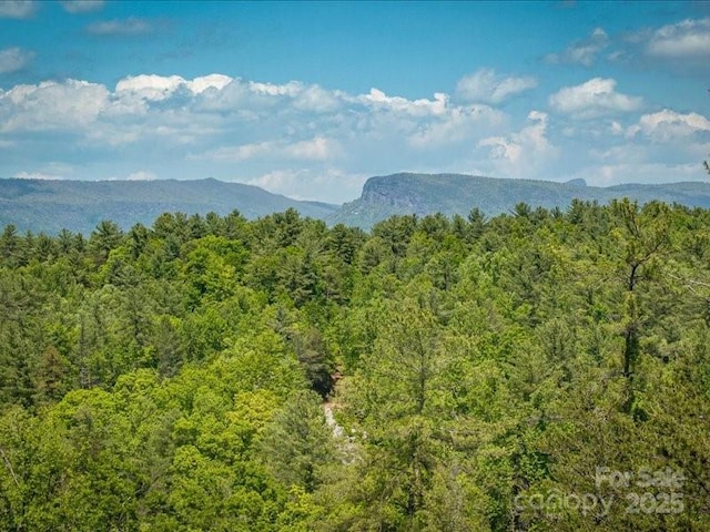 2054 Catawba Trl Unit 162, Nebo, NC 28761 - view of mountain backdrop featuring a heavily wooded area