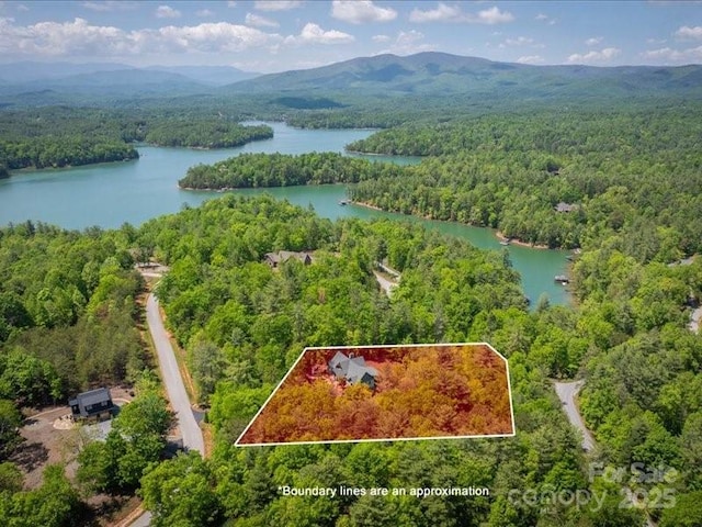 2054 Catawba Trl Unit 162, Nebo, NC 28761 - aerial view of property and surrounding area with a heavily wooded area, a water and mountain view, and property boundaries highlighted
