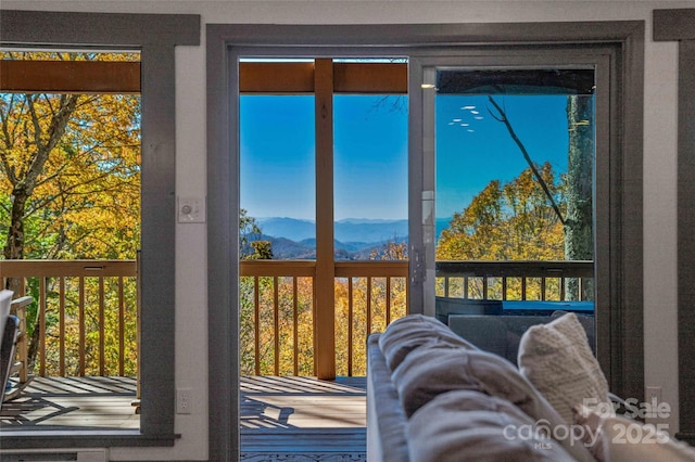 466 Hanging Rock Rd, Mars Hill, NC 28754 - doorway with a mountain view and healthy amount of natural light