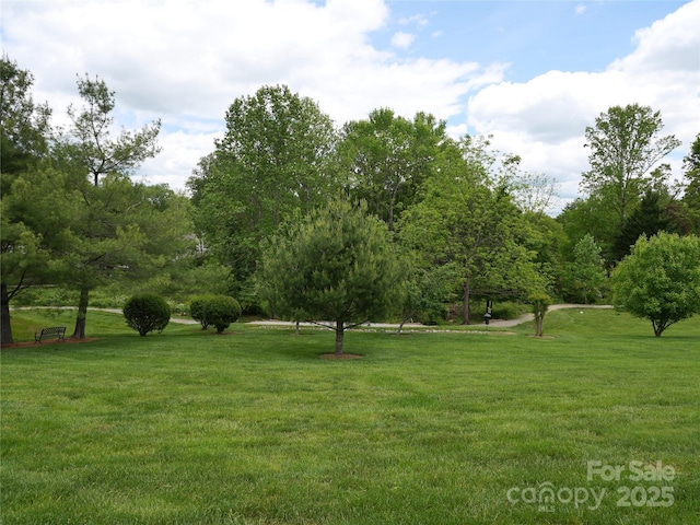 37 S Woodridge View Ct, Hendersonville, NC 28791 - view of green lawn