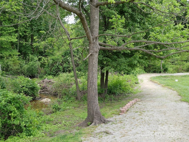 37 S Woodridge View Ct, Hendersonville, NC 28791 - view of street with a view of trees