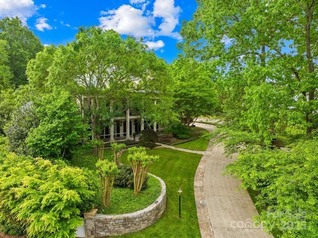 4523 Fox Brook Ln, Charlotte, NC 28211 - view of home's community with a lawn
