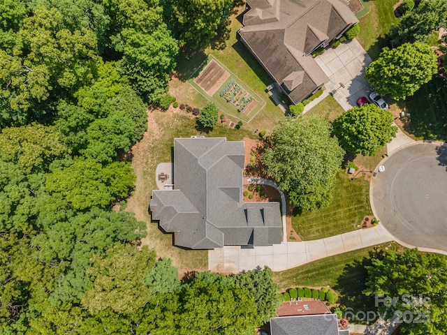 bird's eye view
