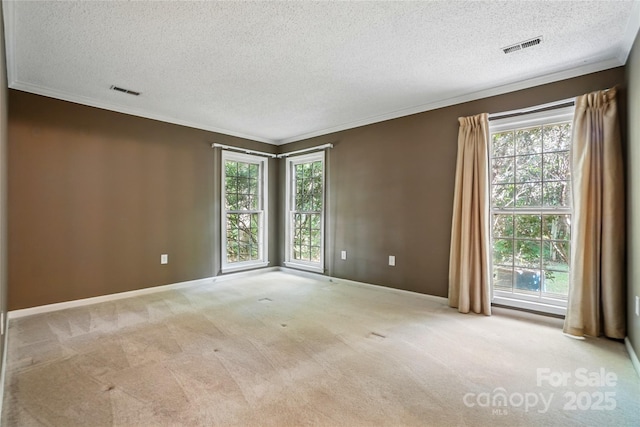 empty room featuring a textured ceiling, healthy amount of natural light, crown molding, light carpet, and baseboards