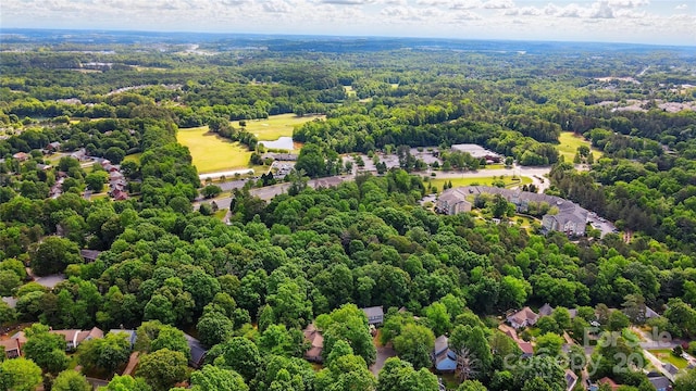 aerial view of a forest