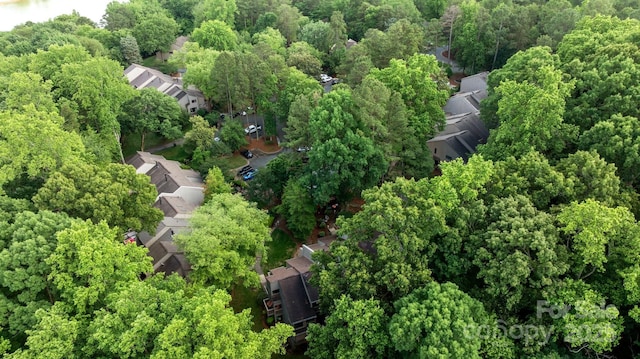 222 Riverview Ter, Clover, SC 29710 - aerial overview of property's location with nearby suburban area and a forest