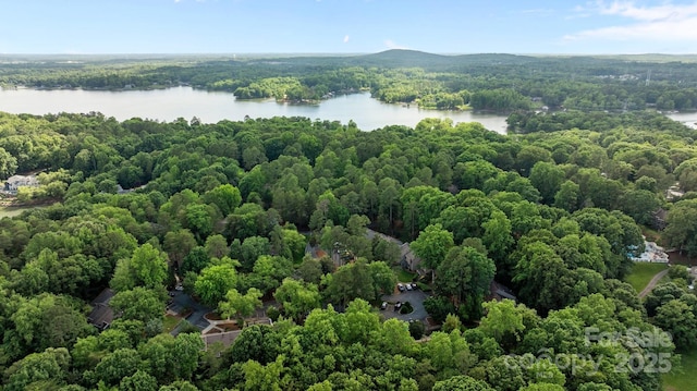 222 Riverview Ter, Clover, SC 29710 - bird's eye view of a large body of water and a forest