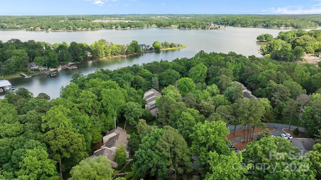 222 Riverview Ter, Clover, SC 29710 - bird's eye view of a large body of water and a heavily wooded area