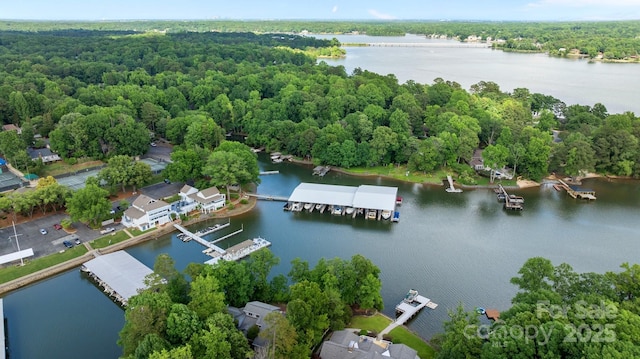 222 Riverview Ter, Clover, SC 29710 - aerial view of a large body of water and a heavily wooded area