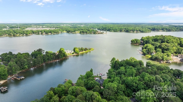 222 Riverview Ter, Clover, SC 29710 - bird's eye view of a nearby body of water and a heavily wooded area