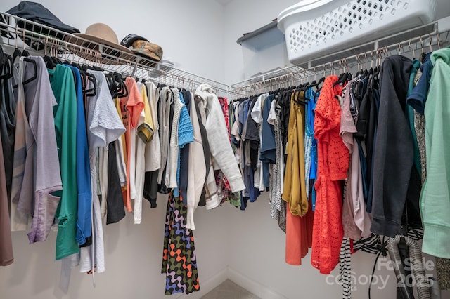 19 Lynnbrook Way, Columbus, NC 28722 - view of spacious closet