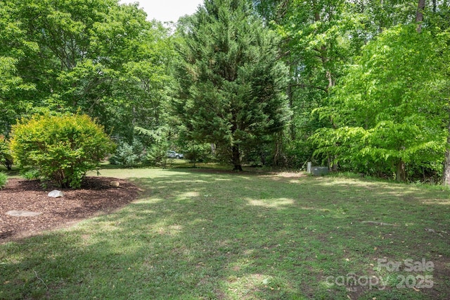 19 Lynnbrook Way, Columbus, NC 28722 - view of grassy yard featuring a forest view