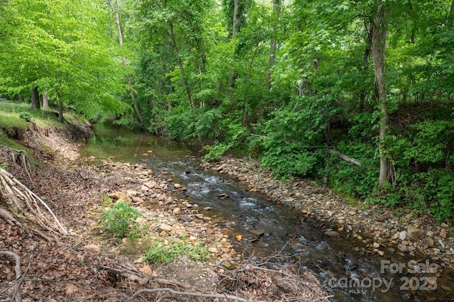 19 Lynnbrook Way, Columbus, NC 28722 - view of undeveloped land