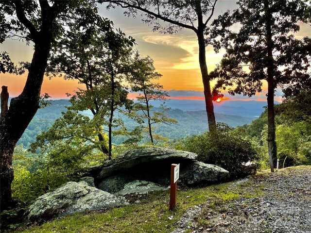 00 Marble Heights Trl Unit E11, Hendersonville, NC 28791 - photo 4