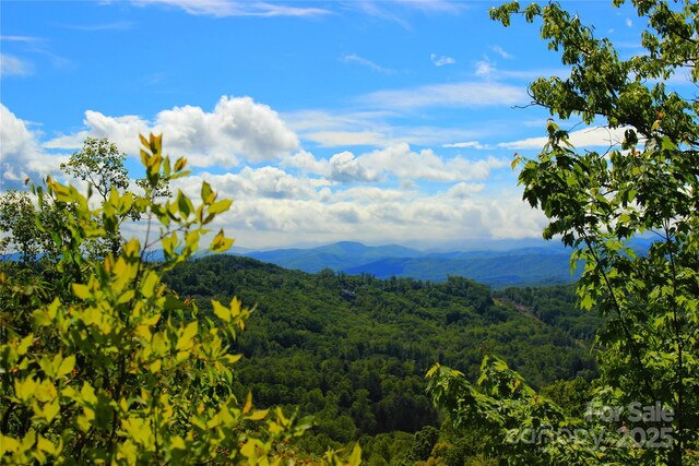 00 Marble Heights Trl Unit E11, Hendersonville, NC 28791 - photo 5